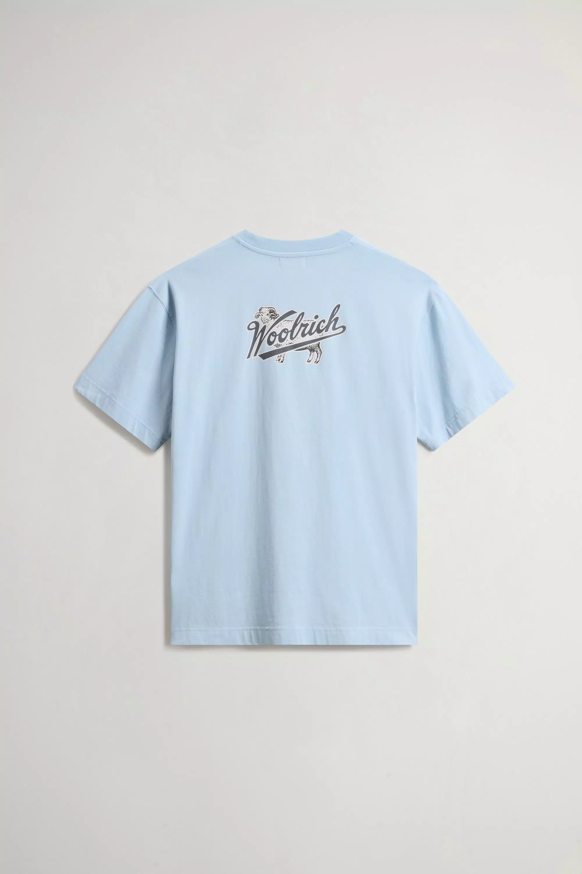 Camiseta de Algodón Puro con Logotipo - Flask